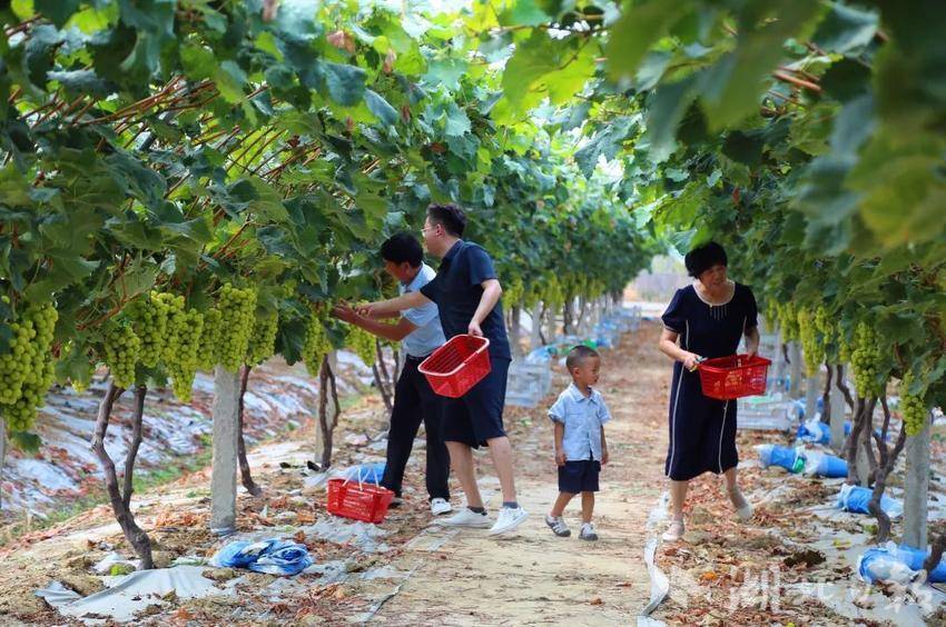 凤凰游戏商城下载